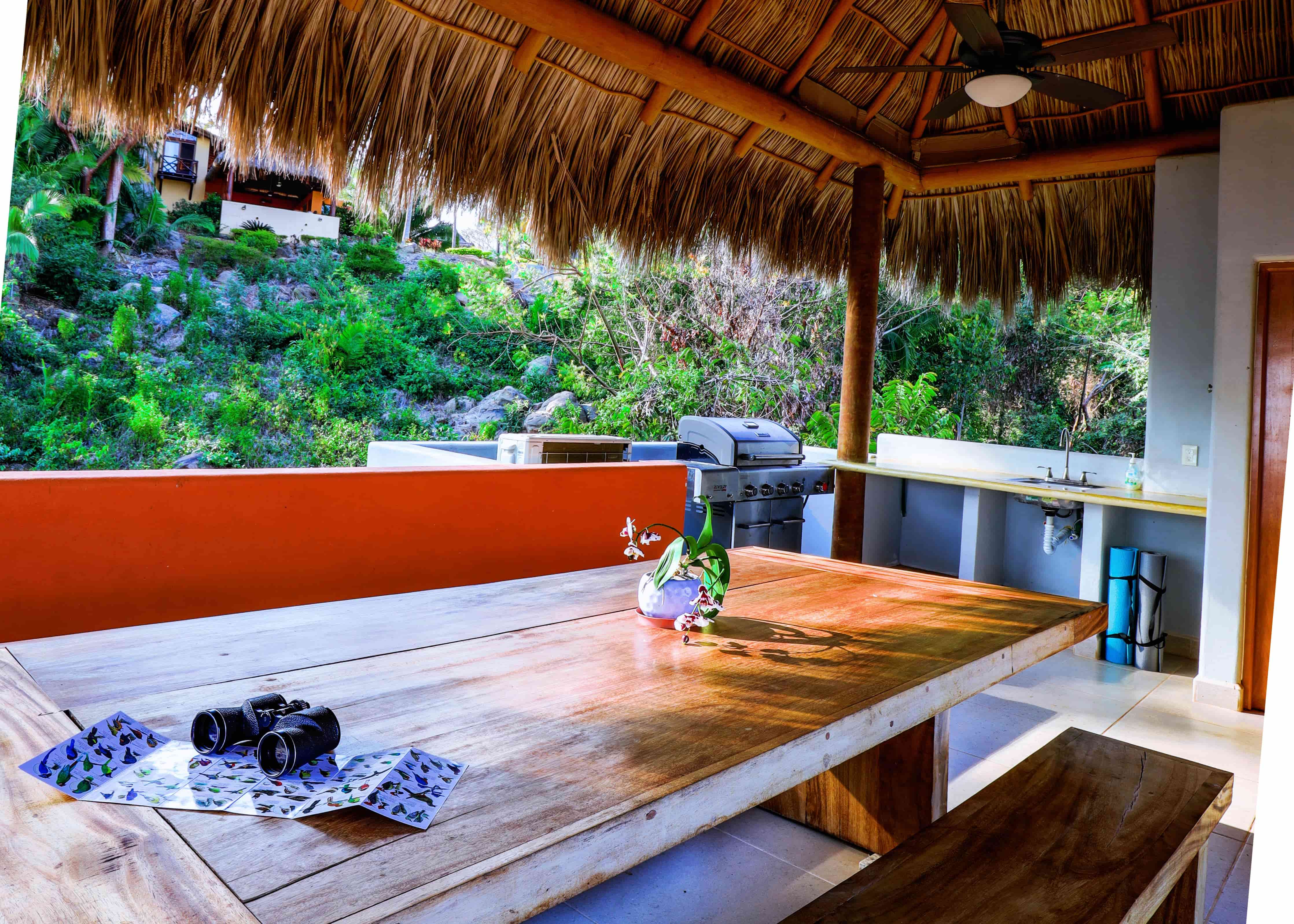 Casa Colorida - Rooftop Palapa